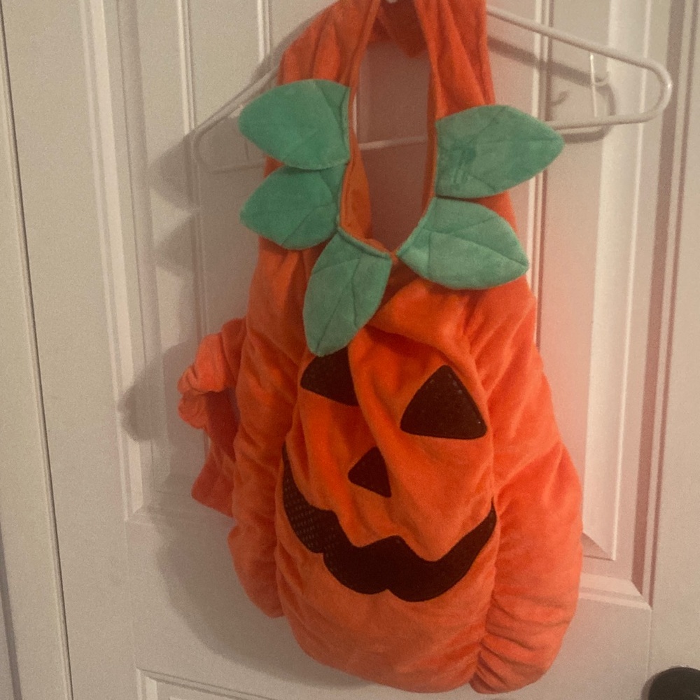 Dogs Pumpkin Costume - Orange and Green